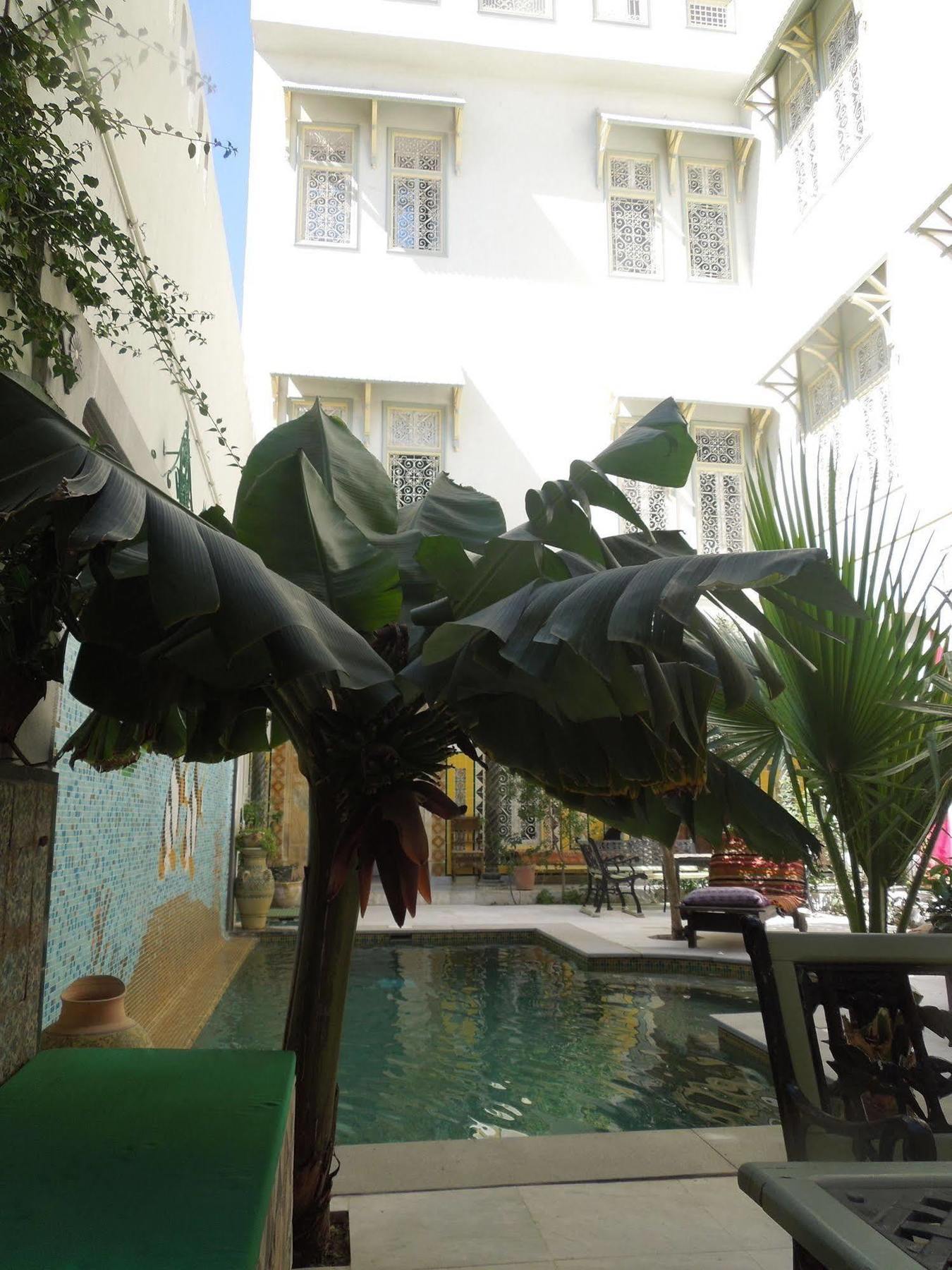 فندق المرسىفي  Dar Souad المظهر الخارجي الصورة
